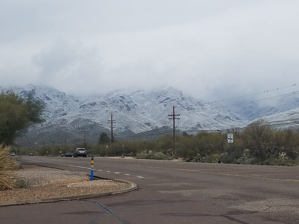 Snow near Sabino Canyon